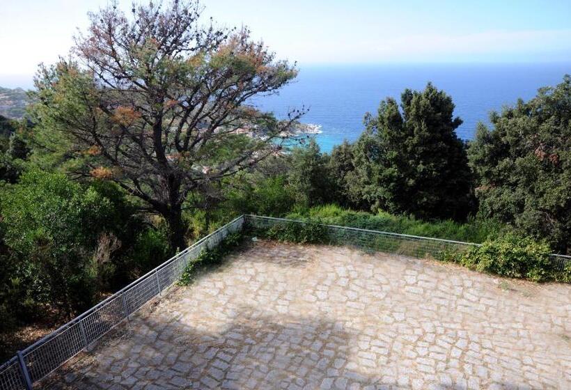 Апартаменты 1 Спальня, Il Castagno