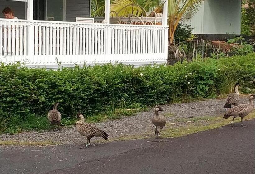 غرفة ديلوكس مزودة بشرفة, Ocean Breeze Inn