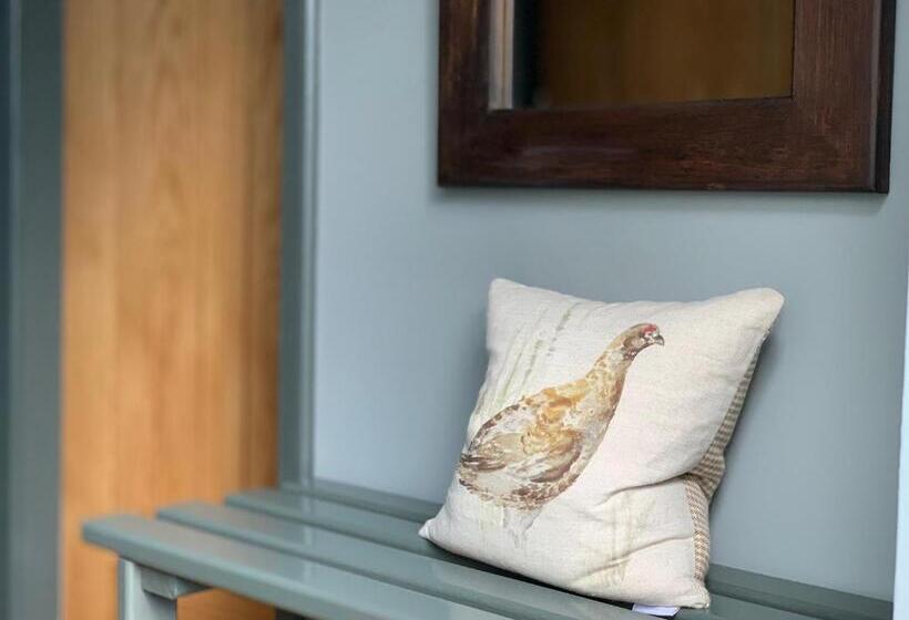 סוויטה דלוקס, The Ghillie