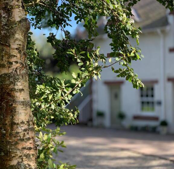 סוויטה דלוקס, The Ghillie