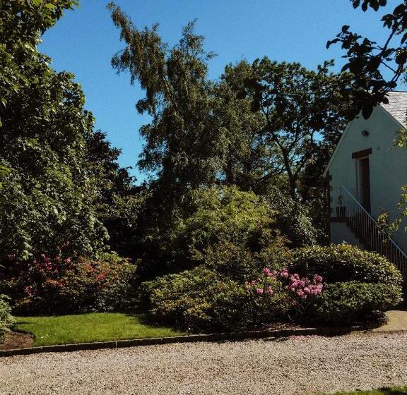 סוויטה דלוקס, The Ghillie