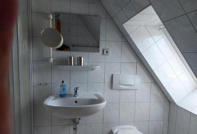 Номер Стандарт, Pension Schwark