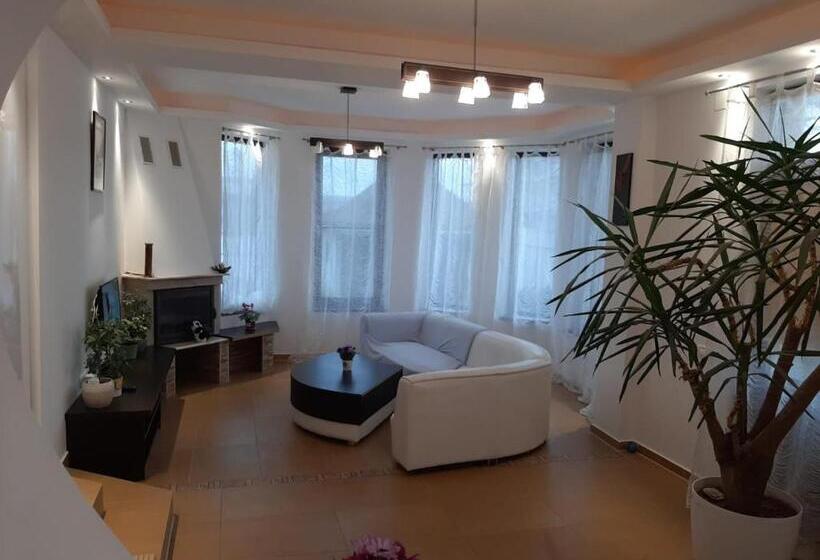 غرفة ديلوكس سرير كينج, Pensiunea Turist