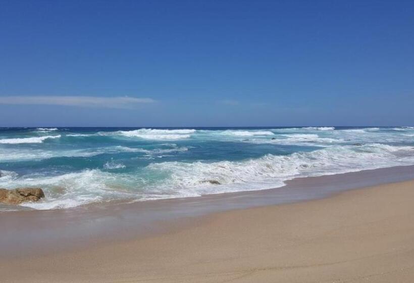 キングサイズベッドのデラックスルーム, Lucky Fishes