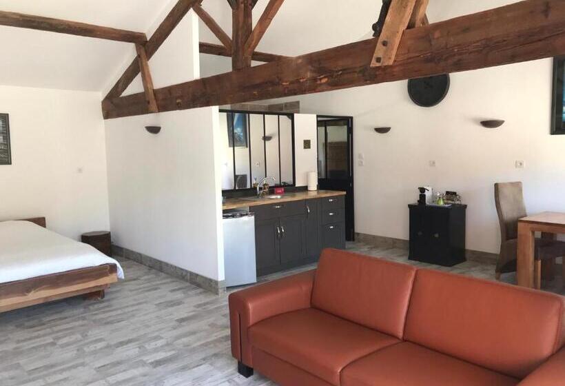 标准间带露台, Domaine Des Jardins De La Saône