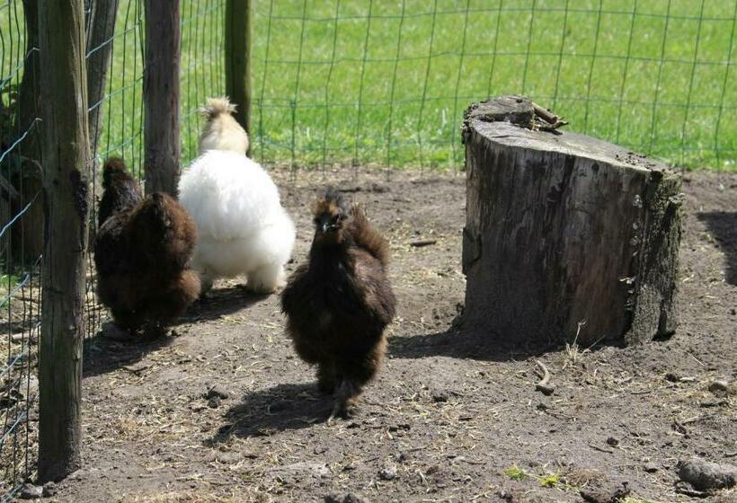 חדר דלוקס, B&b Beach&bos