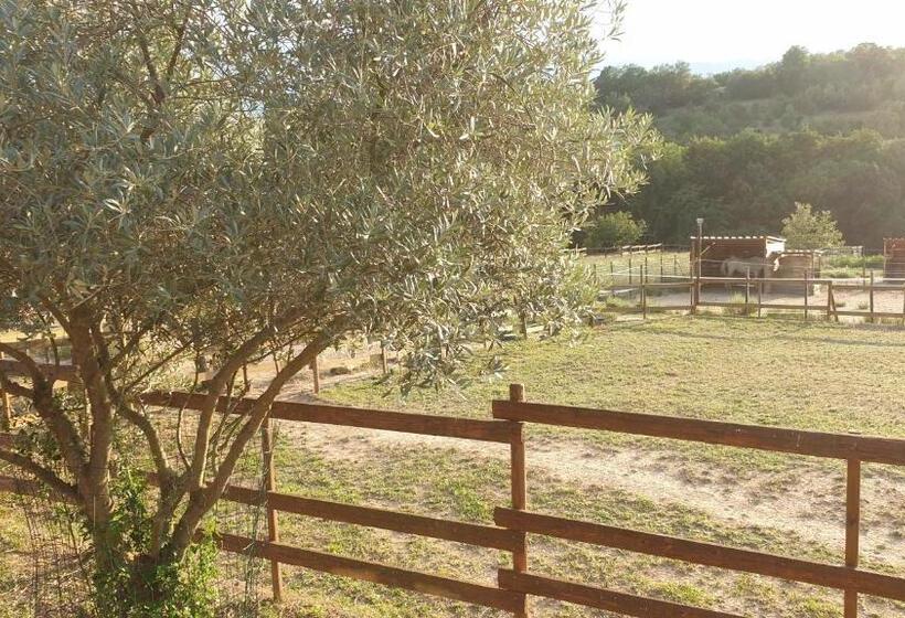 Люкс с Террасой, Chambre D Hôtes Le Petit Ranch