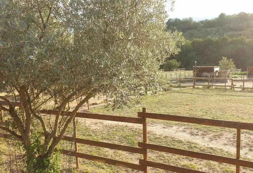 テラス付スイート, Chambre D Hôtes Le Petit Ranch