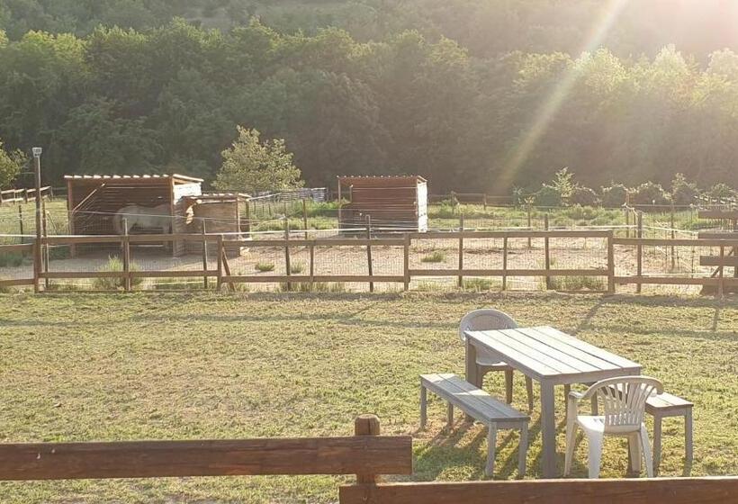 Люкс с Террасой, Chambre D Hôtes Le Petit Ranch