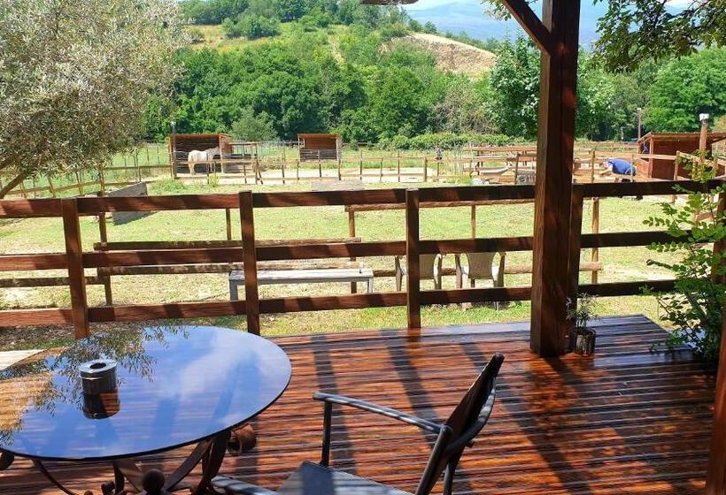 Люкс с Террасой, Chambre D Hôtes Le Petit Ranch