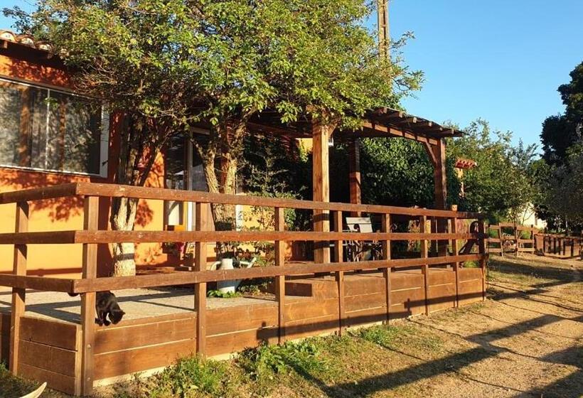 Люкс с Террасой, Chambre D Hôtes Le Petit Ranch