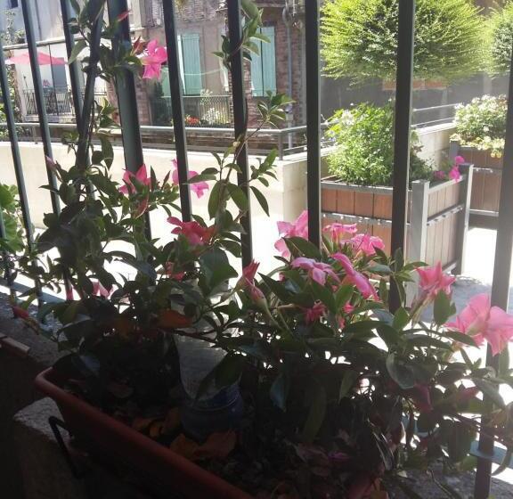 디럭스 룸, Quai De L Arnette