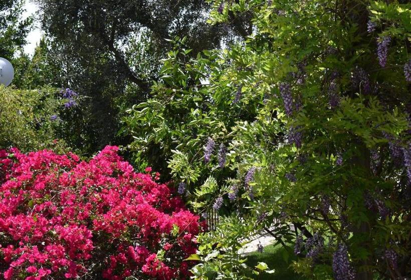 Номер Стандарт Вид на Море, Romantica