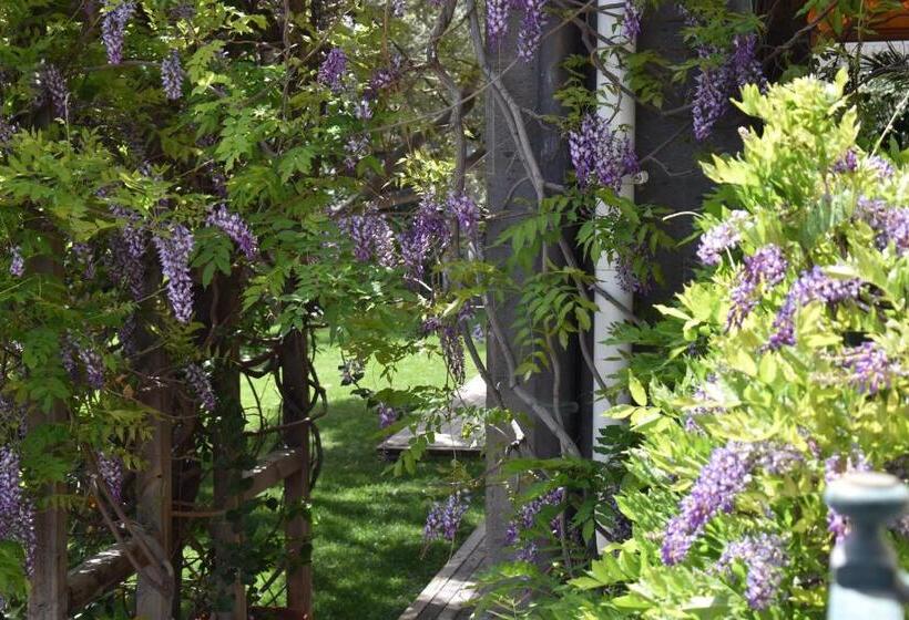 Номер Стандарт Вид на Море, Romantica