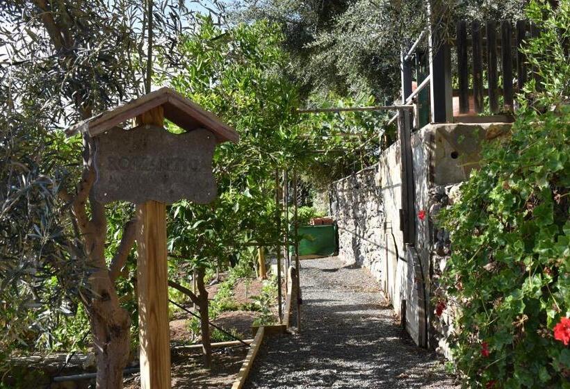 Номер Стандарт Вид на Море, Romantica