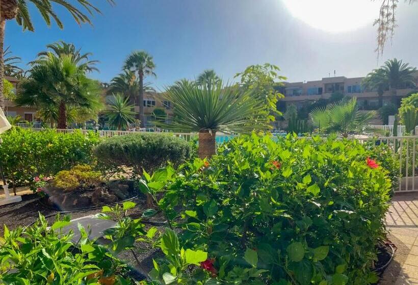 Huoneisto 1 Makuuhuone Pohjakerros, La Primera Duna   Residencial Las Dunas