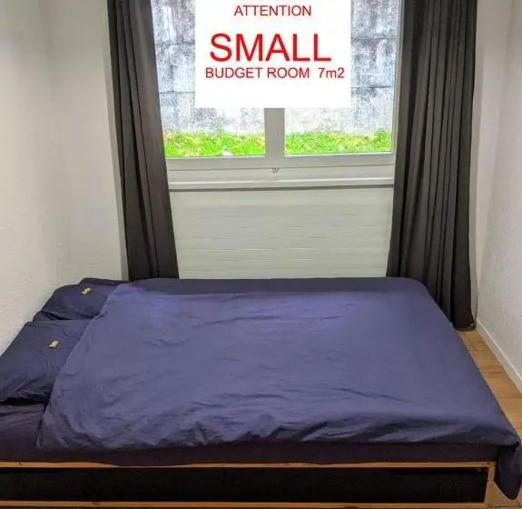 Economy-huone Jaettu Kylpyhuone, Young Backpackers Homestay