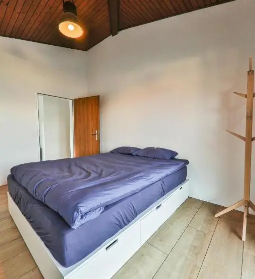 Standard-huone Jaettu Kylpyhuone, Young Backpackers Homestay