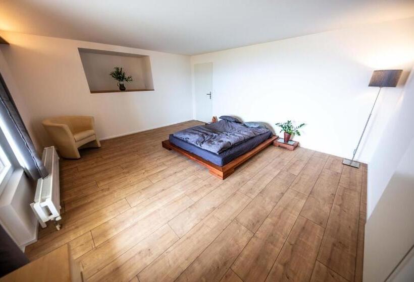 غرفة قياسية حمام مشترك, Young Backpackers Homestay