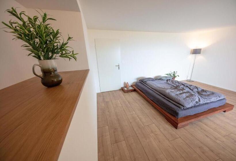 غرفة قياسية حمام مشترك, Young Backpackers Homestay