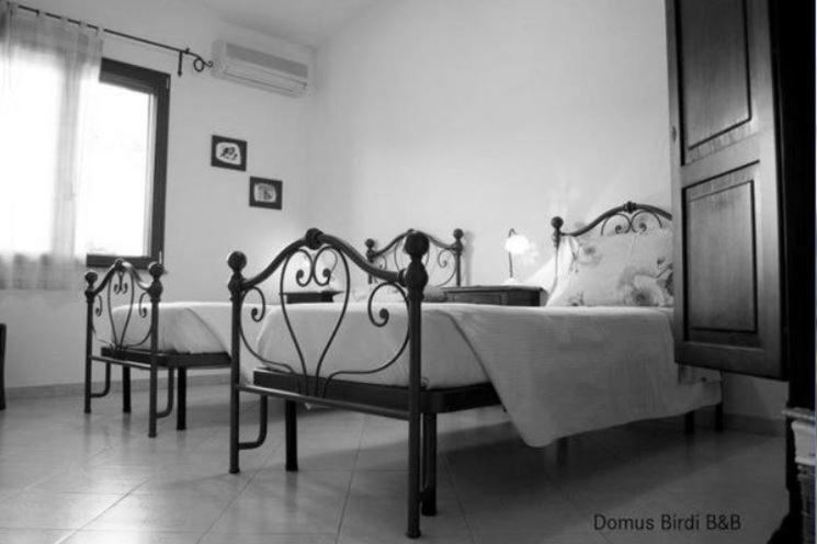 غرفة قياسية مع حمام خارجي, Domus Birdi