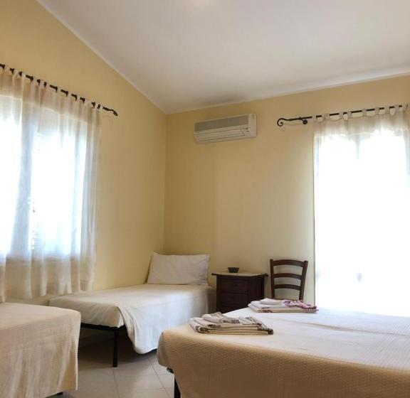 غرفة قياسية رباعية, Domus Birdi