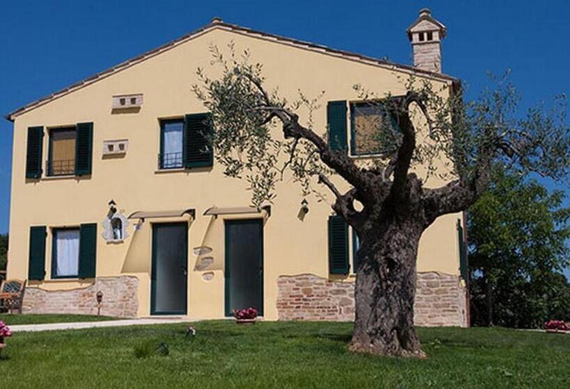 １階の１ベッドルームアパートメント, La Tana Del Cinghiale