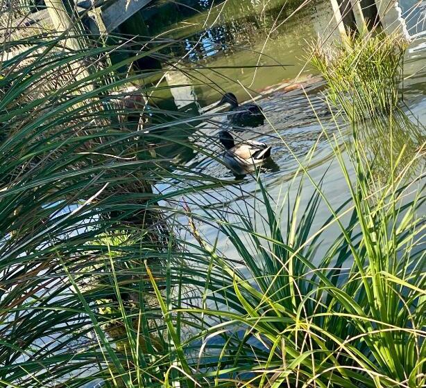 בית, 2 חדרי שינה, Envisage Estate