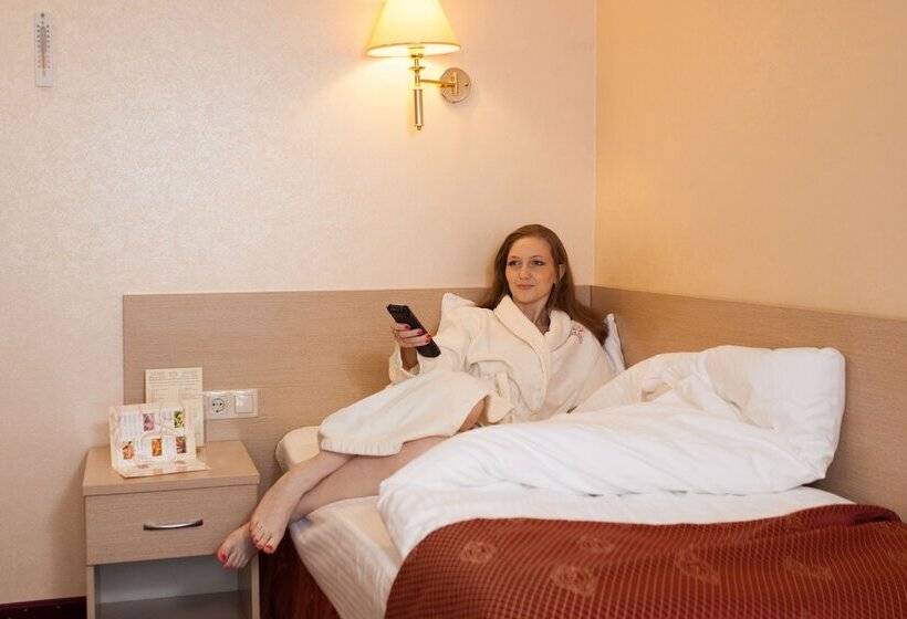Номер Стандарт Индивидуальный, Amaks Premier Hotel