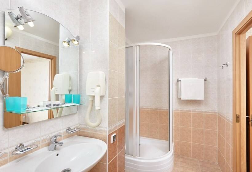 חדר סטנדרט, Grand Hotel Oka Business