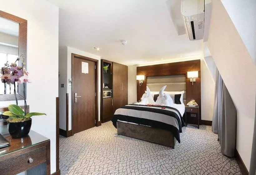 デラックスルーム, Paddington Court Rooms