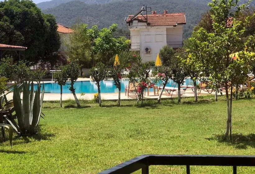 スタンダードルーム, Palme Dalyan