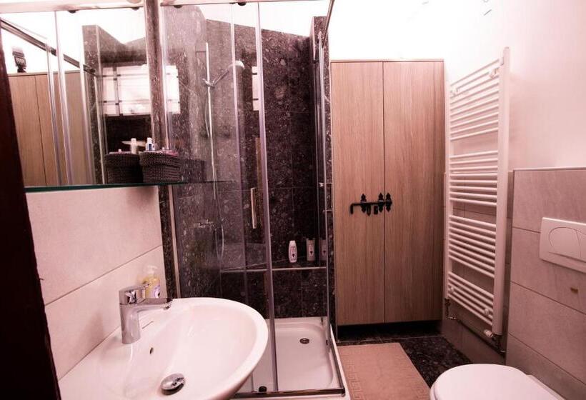 Standard room with outdoor bath, Dežnik