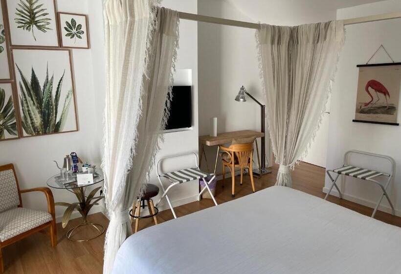 اتاق سوپریور, Casa Apollo Guesthouse