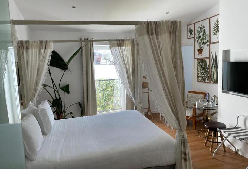 اتاق سوپریور, Casa Apollo Guesthouse