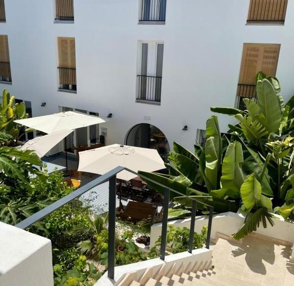 اتاق استاندارد با تخت بزرگ, Casa Apollo Guesthouse