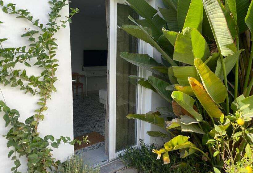 اتاق استاندارد, Casa Apollo Guesthouse