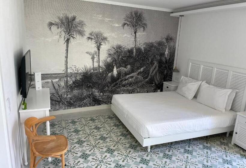 اتاق استاندارد, Casa Apollo Guesthouse