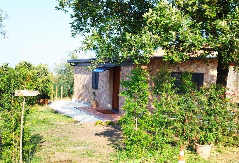 בית, חדר שינה 1, Mongibeach