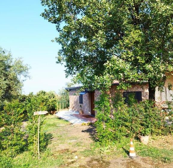 בית, חדר שינה 1, Mongibeach