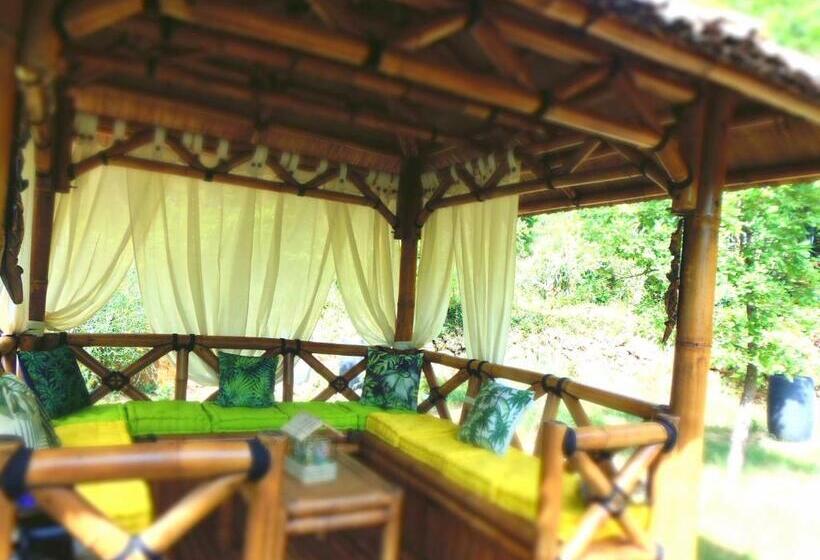 标准间, Domaine De L Insolite