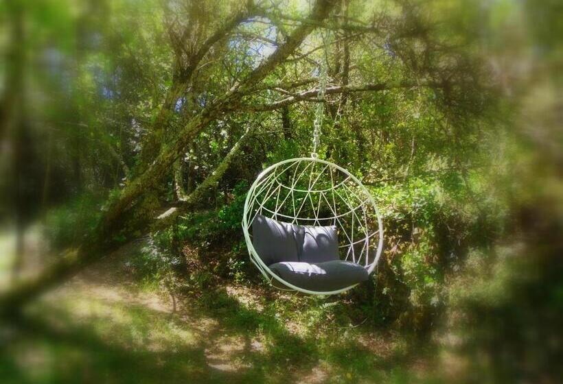 标准间, Domaine De L Insolite