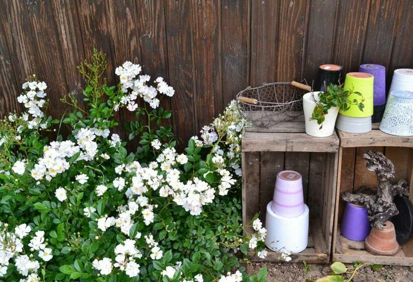 스탠다드 스튜디오 풀장 전망, L Instant Bleu