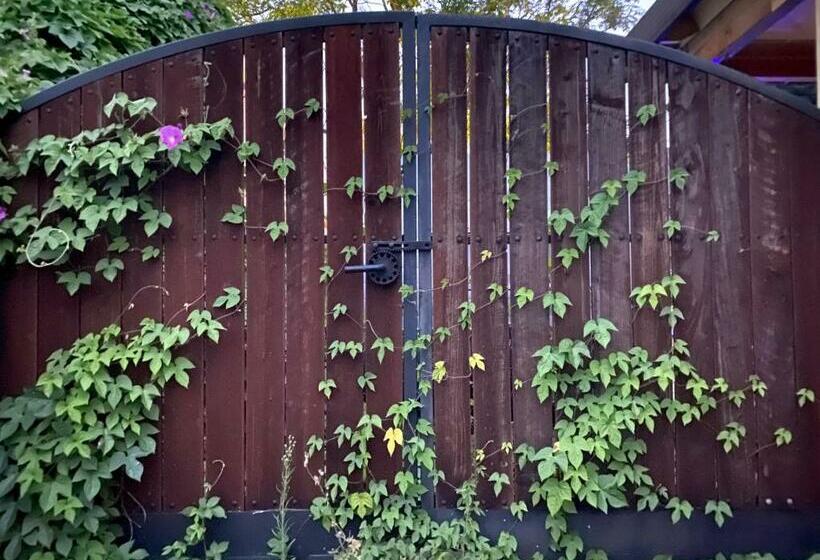 غرفة ديلوكس سرير كينج, My Big Art Project