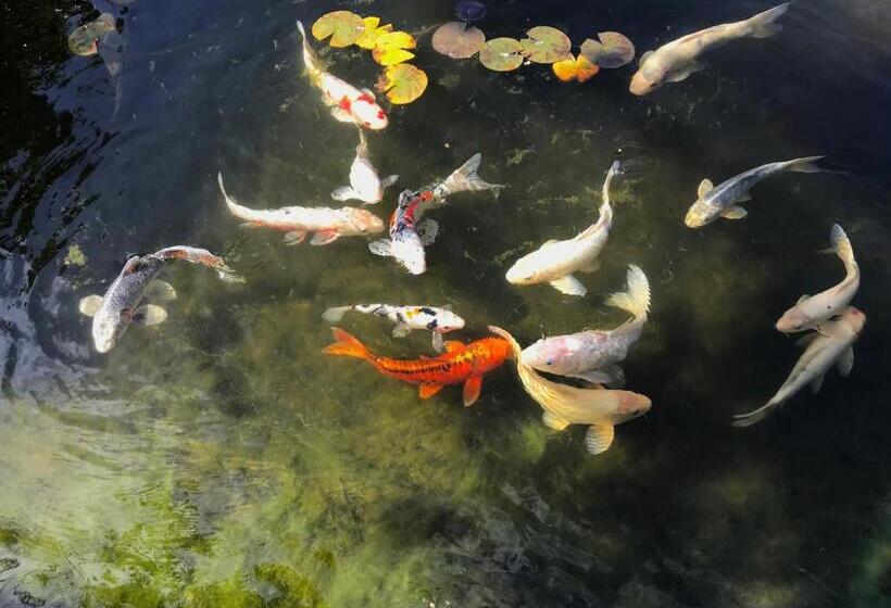 غرفة ديلوكس, My Big Art Project