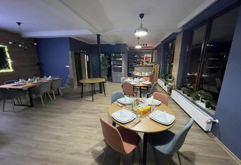 デラックスルーム, Pensiune Casamircea