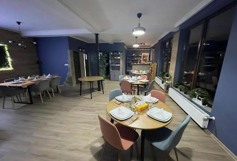 デラックスルーム, Pensiune Casamircea