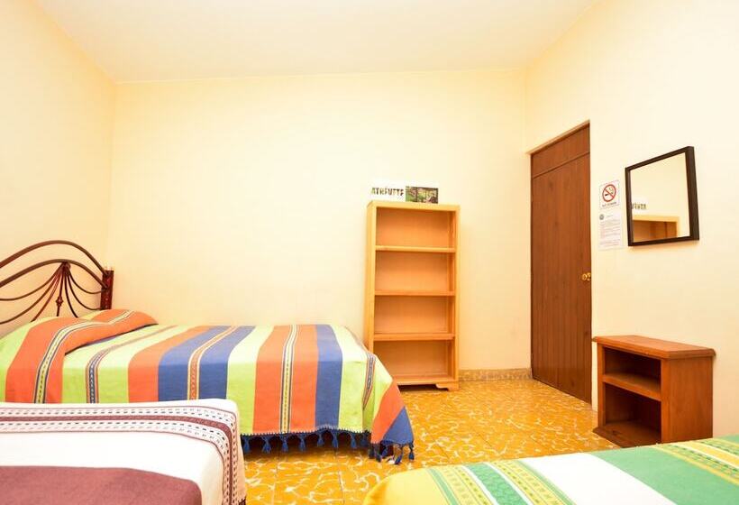 اتاق خانوادگی, Los Nardos Hostel