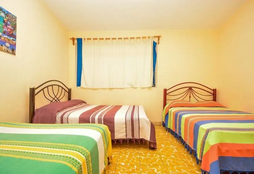 اتاق خانوادگی, Los Nardos Hostel