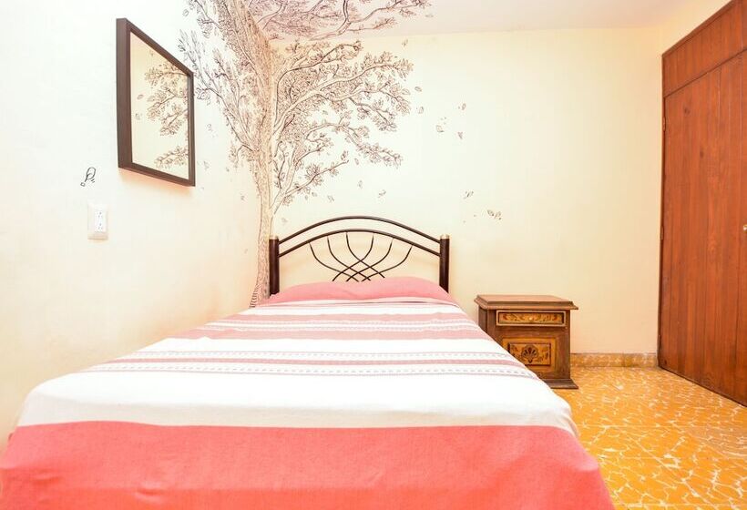 اتاق استاندارد, Los Nardos Hostel